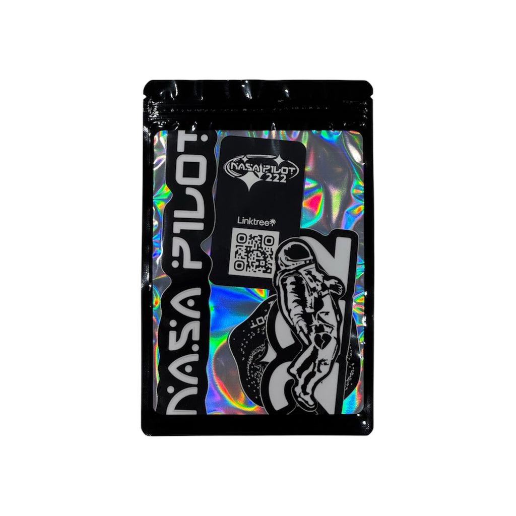 NASA P1LOT - STICKER PACK